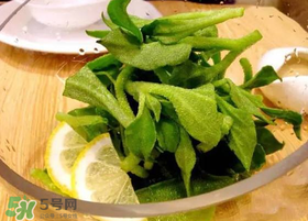 冰草用什么醬？冰草用什么醬好吃？