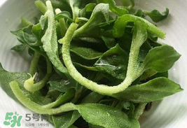 冰菜為什么會(huì)酸？冰菜為什么是咸的？