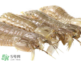 蝦爬子什么季節(jié)最肥？蝦爬子幾月份最肥？