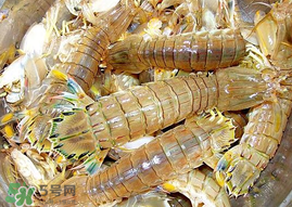 蝦爬子能冷凍嗎？蝦爬子可以冷藏嗎？