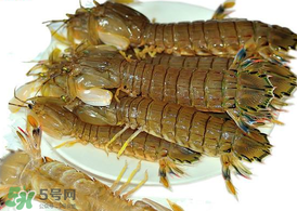蝦爬子能冷凍嗎？蝦爬子可以冷藏嗎？