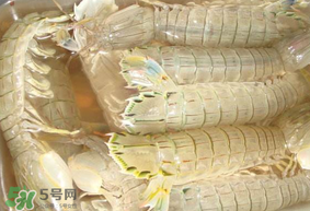 蝦爬子綠色怎么回事？蝦爬子變黑還能吃嗎？