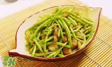 蘆蒿與茼蒿有什么區(qū)別？蘆蒿和茼蒿的區(qū)別