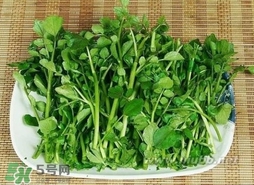 哺乳期能吃西洋菜嗎？哺乳期可以吃西洋菜嗎