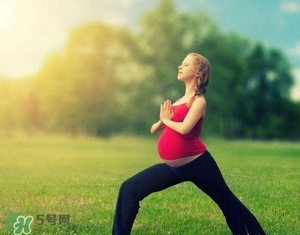孕婦能吃雞精嗎？孕婦能吃雞精和味精嗎？
