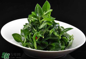 冰草是田七嗎？冰草和田七一樣嗎？