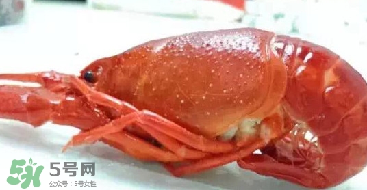 蝦子哪些部位不能吃？蝦子哪些地方不能吃
