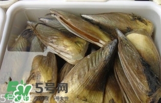 青口貝如何清洗？青口貝怎么處理