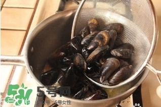 青口貝如何清洗？青口貝怎么處理