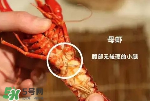 蝦子怎么吃？蝦子的吃法