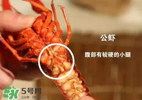 蝦子怎么吃？蝦子的吃法