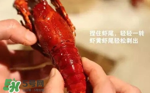 蝦子怎么吃？蝦子的吃法