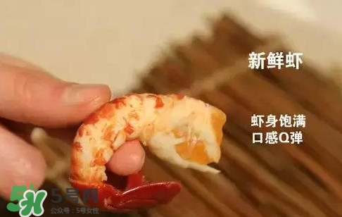 蝦子怎么吃？蝦子的吃法