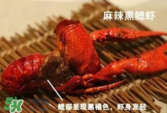 蝦子怎么吃？蝦子的吃法