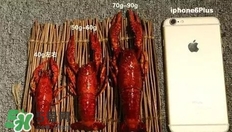 蝦子怎么吃？蝦子的吃法