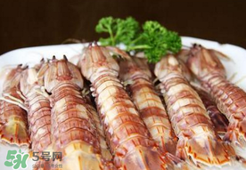 蝦爬子是寒性的嗎？蝦爬子是熱性的還是寒性的？