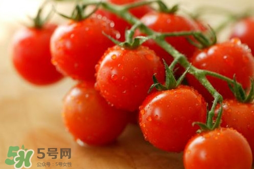 圣女果是小西紅柿嗎？圣女果和西紅柿的區(qū)別