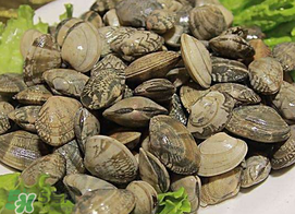 蜆子不能和什么一起吃？吃蜆子不能吃什么？