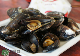 淡菜什么時(shí)候最肥？淡菜什么時(shí)候吃最好？