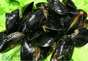 哪些人不適合吃淡菜？淡菜什么人不能吃？