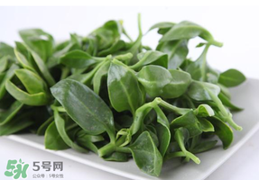 冰菜和穿心蓮是同一種菜嗎？冰菜和穿心蓮是一科嗎？