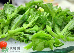 冰菜孕婦能吃嗎？孕婦能不能吃冰菜？
