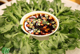 冰菜怎么涼拌？冰菜可以用沙拉醬拌嗎？