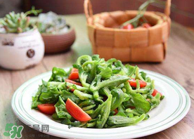 冰菜怎么涼拌？冰菜可以用沙拉醬拌嗎？