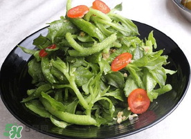 冰菜怎么涼拌？冰菜可以用沙拉醬拌嗎？