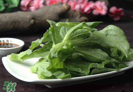 冰菜可以生吃嗎？冰菜能生吃嗎？
