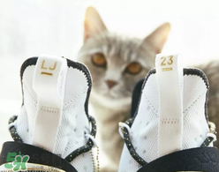 nike lebron 14怎么樣？耐克lebron 14測(cè)評(píng)