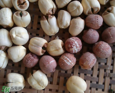 芡實不能和什么一起吃？芡實不能與什么同食？