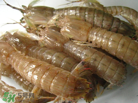 瀨尿蝦是皮皮蝦嗎？瀨尿蝦和皮皮蝦的區(qū)別