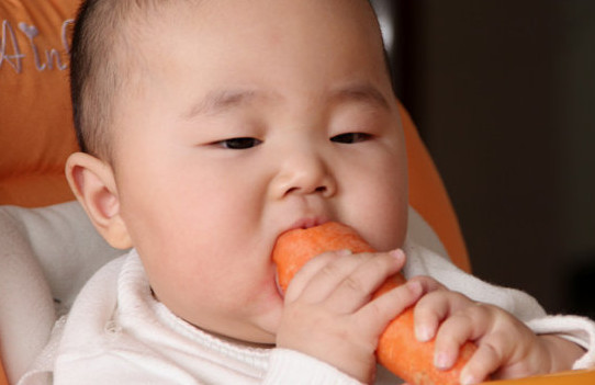 胡蘿卜與什么不能同食？胡蘿卜不能和什么一起吃
