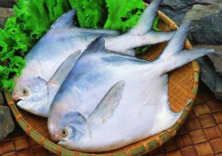 蠶豆和魚能一起吃嗎？蠶豆和魚吃相克嗎？