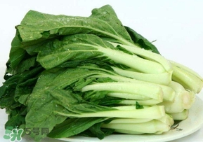 雞毛菜怎么做？雞毛菜的做法