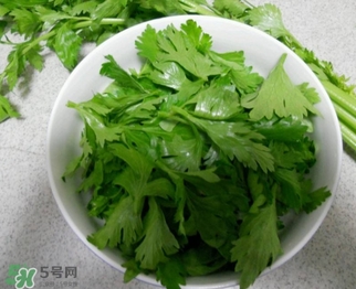 芹菜葉怎么吃？芹菜葉吃法
