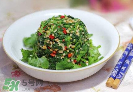 芹菜葉怎么吃？芹菜葉吃法