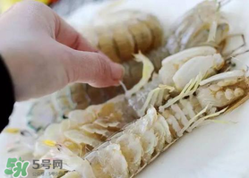 蝦爬子怎么扒皮？蝦爬子怎么剝殼？