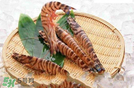 蝦爬子怎么扒皮？蝦爬子怎么剝殼？