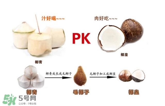 椰子怎么打開(kāi)？椰子殼怎樣打開(kāi)
