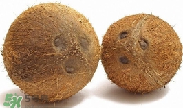 椰子怎么打開(kāi)？椰子殼怎樣打開(kāi)