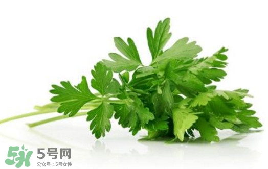 芹菜葉能吃嗎？芹菜葉可以吃嗎