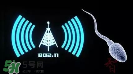 wifi殺精嗎？wifi殺精是真的嗎？