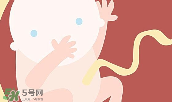 胎兒發(fā)育關鍵時期是什么時候？胎兒發(fā)育黃金期
