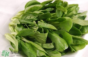雞毛菜怎么做？雞毛菜的做法