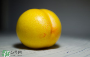 黃金油桃多少錢一斤？黃金油桃什么時候成熟？