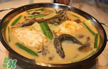 泥鰍是魚嗎？泥鰍是海鮮嗎