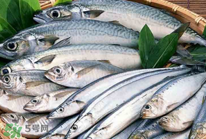 2017鲅魚多少錢一斤？鲅魚多少錢一斤2017？
