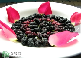 覆盆子是桑葚嗎？覆盆子和桑葚的區(qū)別